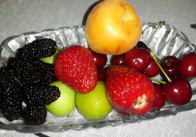 Kucukkoy Belediyesi