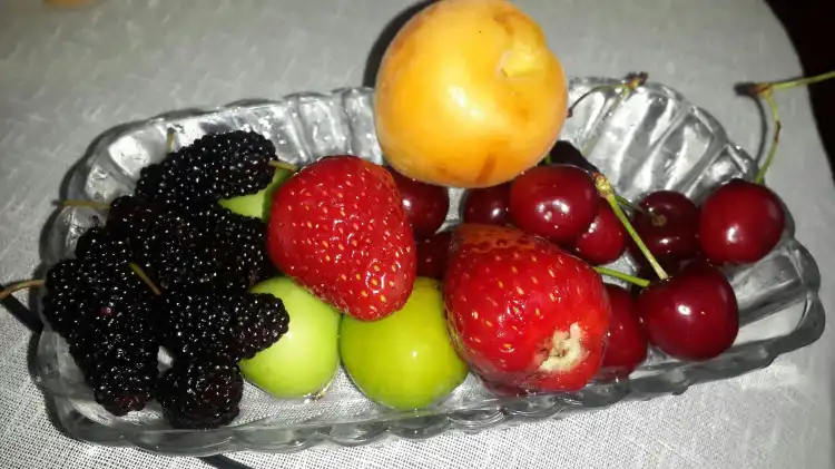 Hôtels à : Kucukkoy Belediyesi
