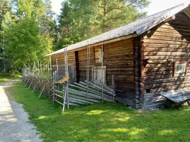 Yla-Savo