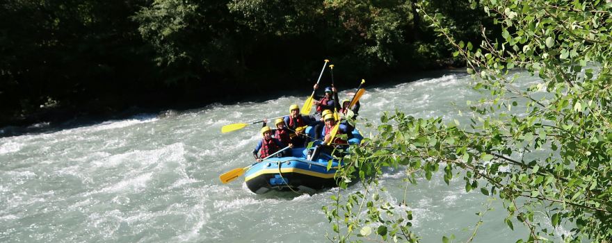 Raft in Action