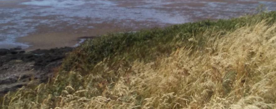 Heysham Nature Reserve
