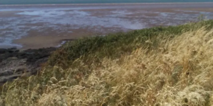 Heysham Nature Reserve
