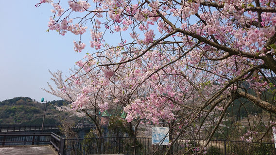 Sasaguri