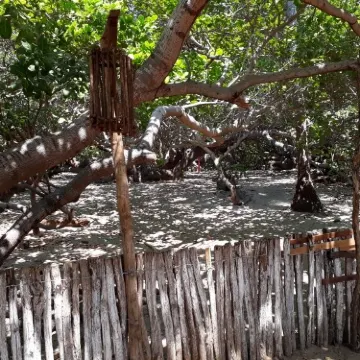 Кажуейру-да-Прая