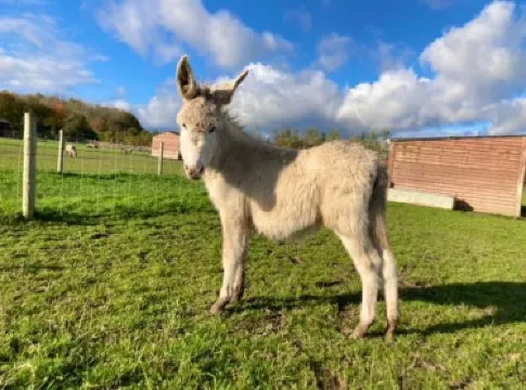 사우스 더비셔 디스트릿