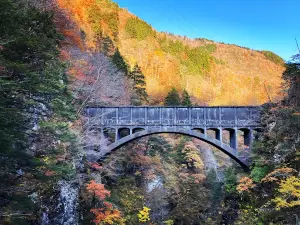Kurobe Gorge Trolley Train