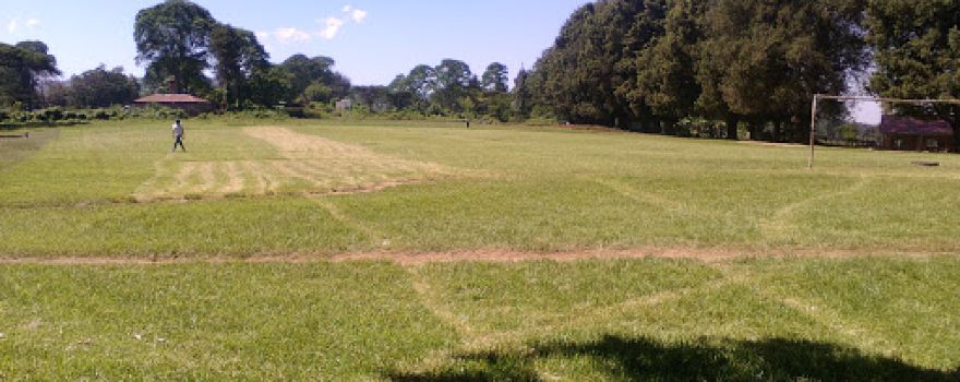 Chewoyet Northern Field
