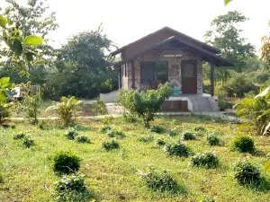 Iskcon Neelachal Gaushala Talasari