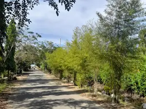 Pantai Pandawa