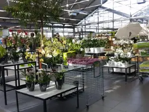 Dehner Garten-Center