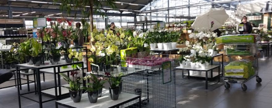Dehner Garten-Center