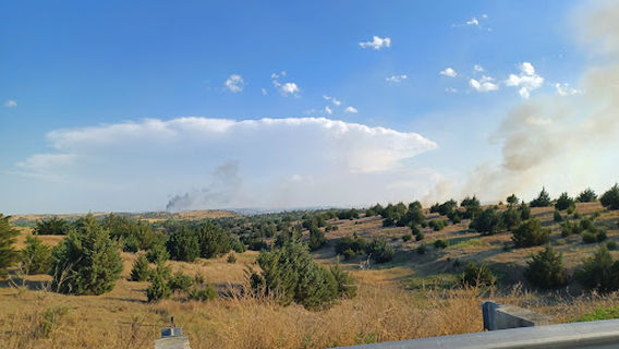 Willow View Campground