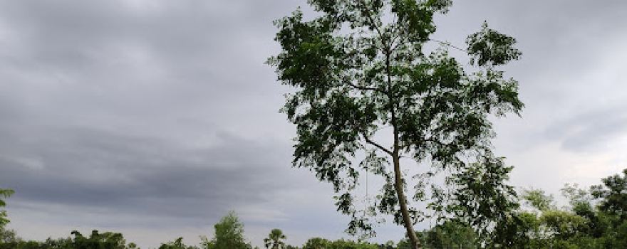 ঐতিহাসিক সাগরদীঘি- Historical Sagardighi