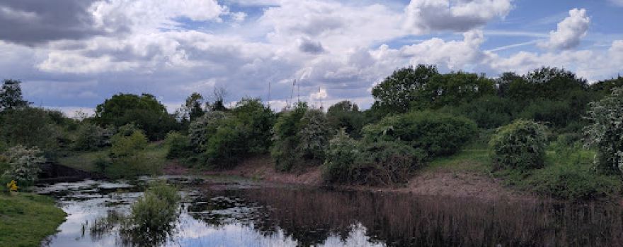 Minet Country Park