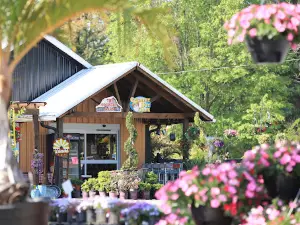 The Country Barn Garden & Farm Market