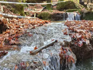 Zoragvan Valley كلي زوركفان