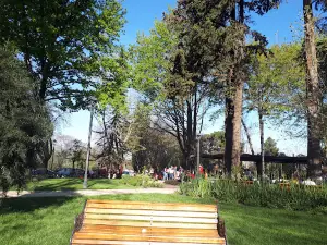 Plaza de San Miguel