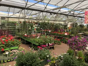 Jardinerie Cartenet