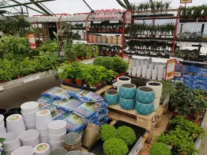 Plantasjen