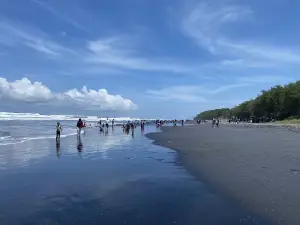 Pantai Cemara Jayanti