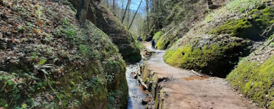 Dragon Gorge