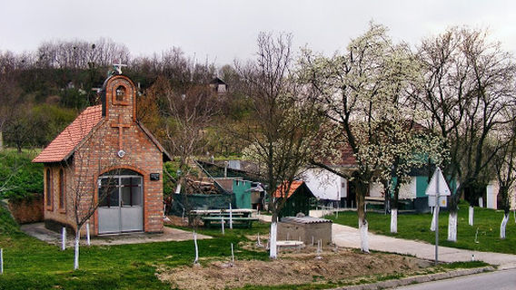 Opcina Draz