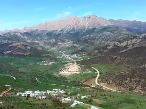 Korgan Köy Ormanı