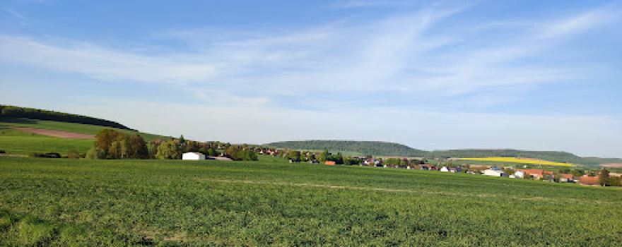 Bodensteiner Klippen