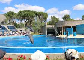Zoo Aquarium de Madrid