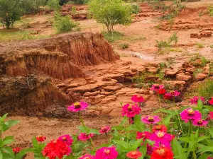 Sok Phi Dip Sandstone Erosion Site
