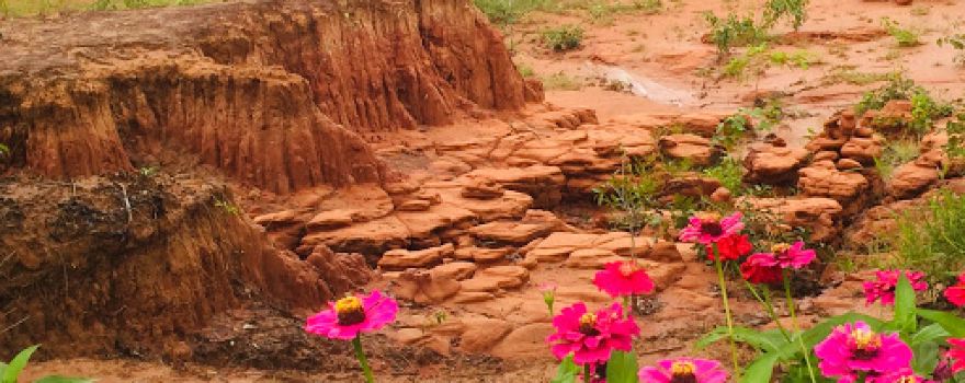 Sok Phi Dip Sandstone Erosion Site