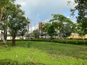 Công Viên Cây Xanh
