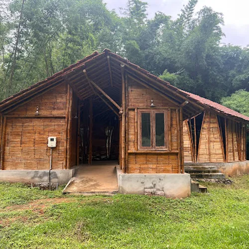 Bamboo Plantation - Kerala Forest Research Institute KFRI