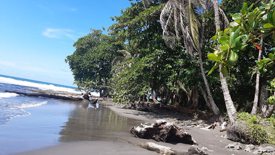 Provincia di Limón