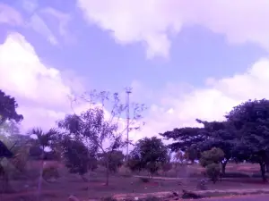 Metropolitano Park