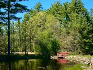 Circle 9 Ranch Campground