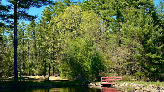 Circle 9 Ranch Campground