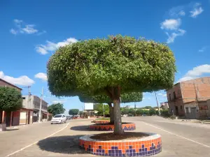 Parque Aquático Ponta das Pedras