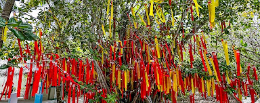 Tree of Wishes