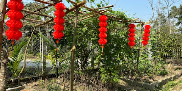 Hoa Sơn Quán Highland