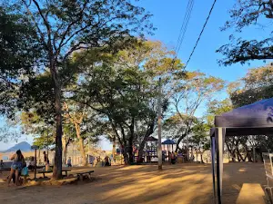 Horto Florestal De Muriaé (Setor de Meio Ambiente)