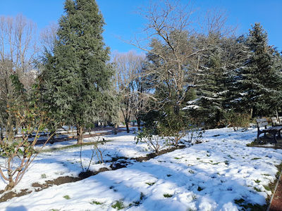Parc de l'Europe