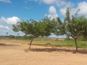 Football field