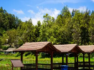 Ranu Pani