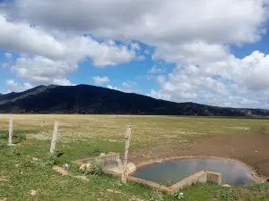 Ichkeul Lake