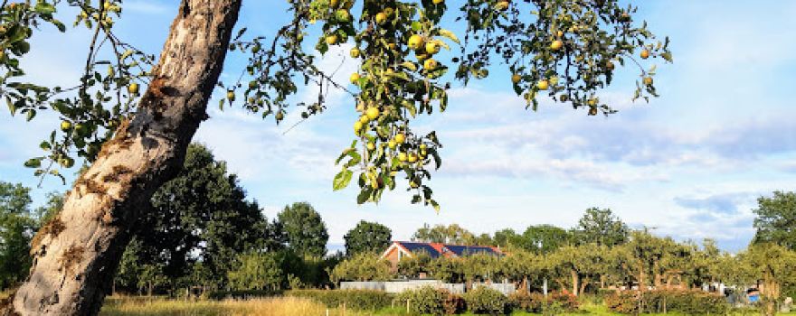 Terrein De Maat (vereniging Zon en Leven)