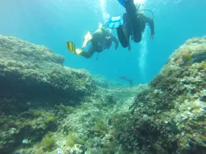 Top Dive Escuela de Buceo