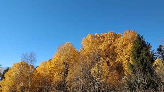 Årby nature reserve