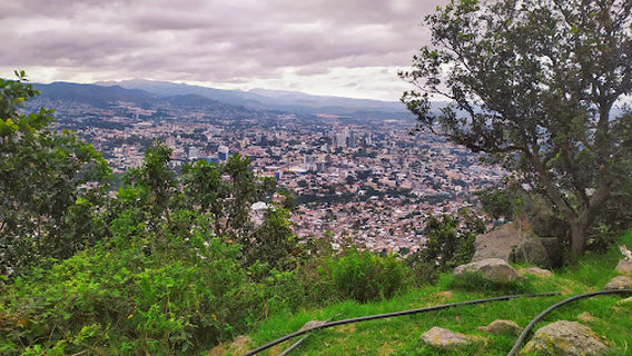 Metropolitan Zoo Rosy Walther