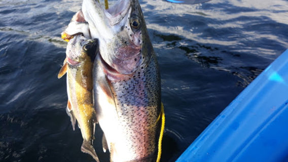 Funny River Campground